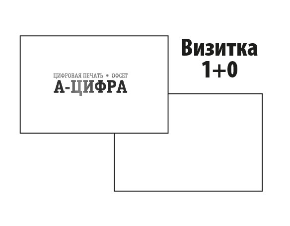 визитки срочно за час